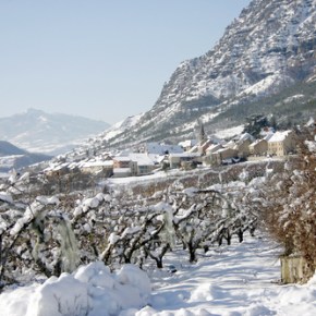 Animations et événements à&nbsp;Remollon