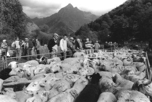 Foire au tardon Champoléon